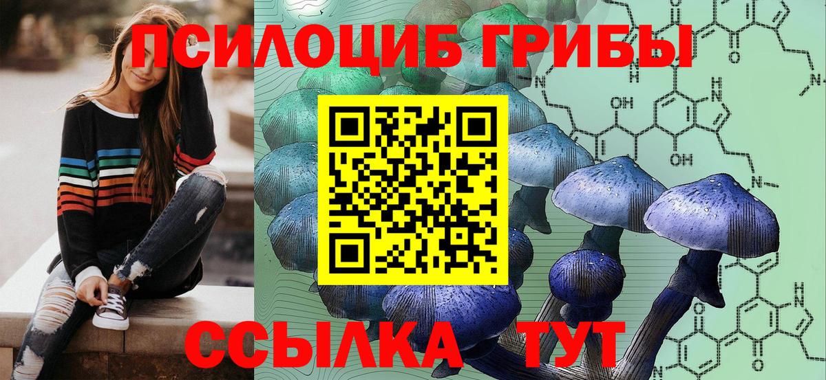 Люберцы  Псилоцибиновые грибы Psilocybine cubensis  Вход с VPN 